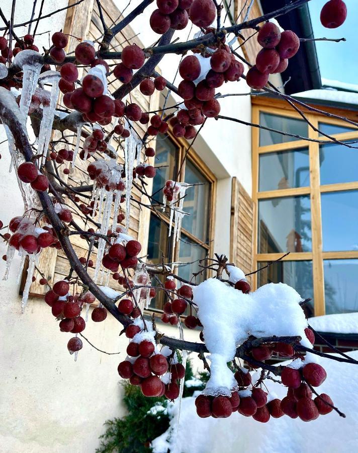 Hotel Stary Mlyn Jeseník Esterno foto