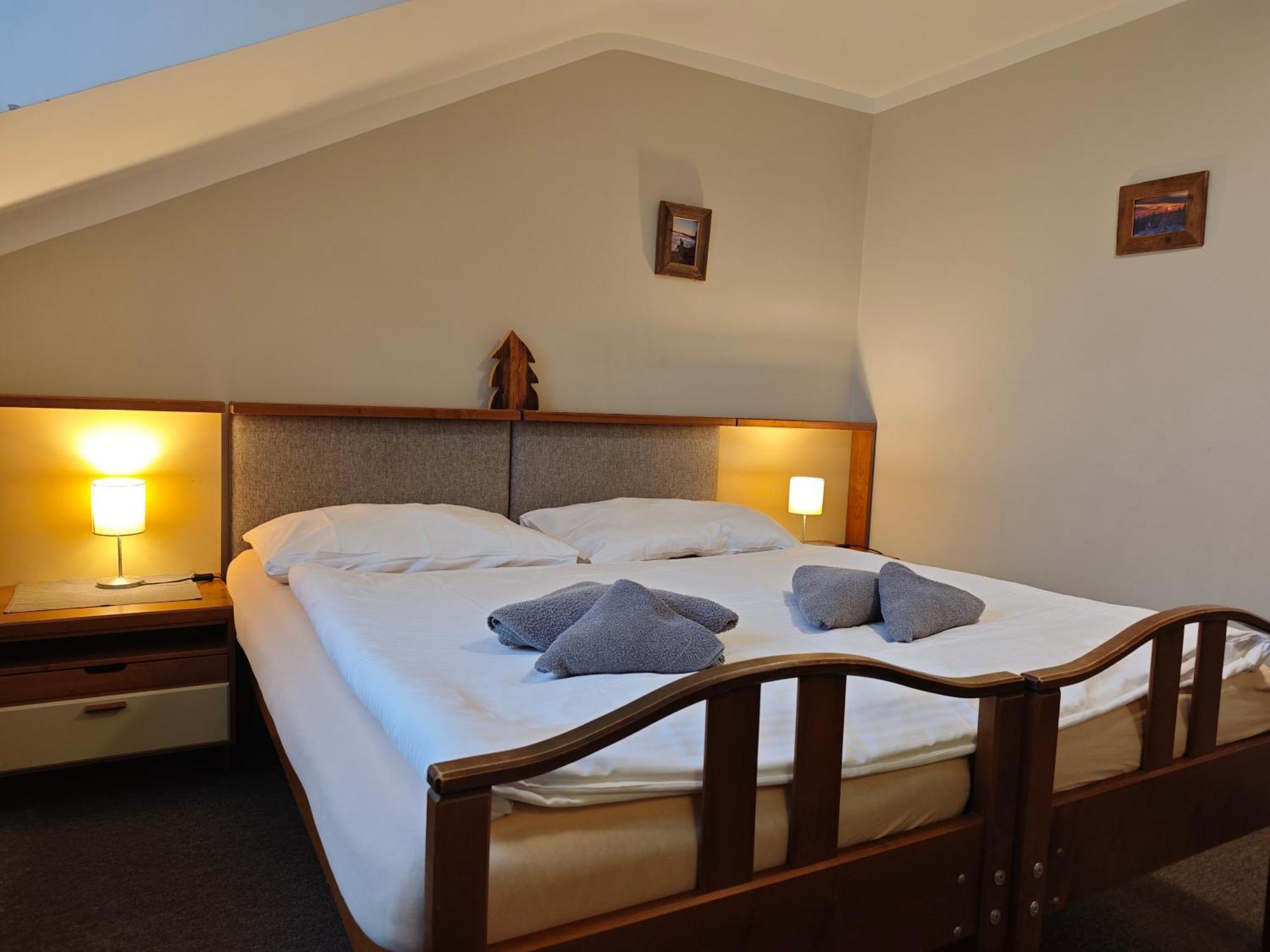 Hotel Stary Mlyn Jeseník Esterno foto